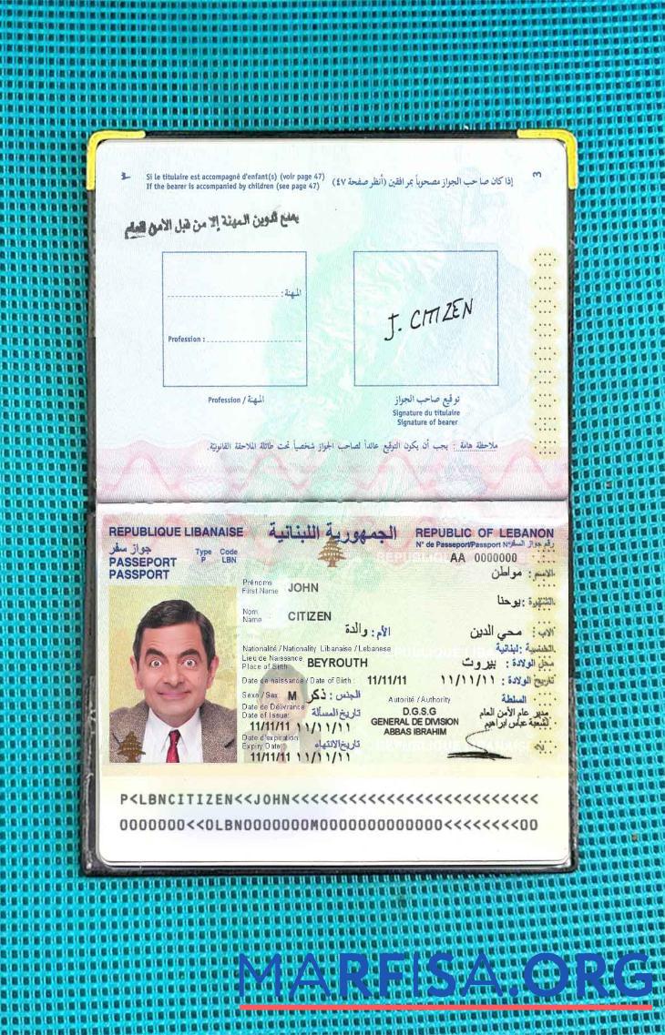 Printable Lebanon passport photo look sample